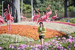 BIB: 
                            <button type="button" onclick="openModal(27793601)" class="btn btn-primary btn-sm float-right btn-popup" data-toggle="modal" data-target=".modal-high-quality">
                        <i class="fas fa-shopping-cart"></i> Add to Cart
                    </button>
                                            <button type="button" onclick="isThisMe(27793601, true)" class="btn btn-success btn-sm float-right btn-popup btn-isme hidden" data-toggle="tooltip" data-placement="bottom" title="นี่คือรูปของคุณใช่ไหม คลิกที่นี่เพื่อเอาเข้าอัลบั้ม">
                        <i class="fas fa-plus"></i> Add to album
                    </button>
                    <button type="button" onclick="isThisMe(27793601, false)" class="btn btn-warning btn-sm float-right btn-popup btn-isnotme hidden">
                        <i class="fas fa-ban"></i> Remove from album
                    </button>